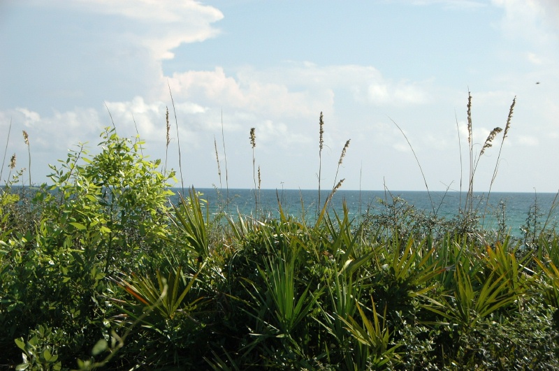 DSC_8583.JPG