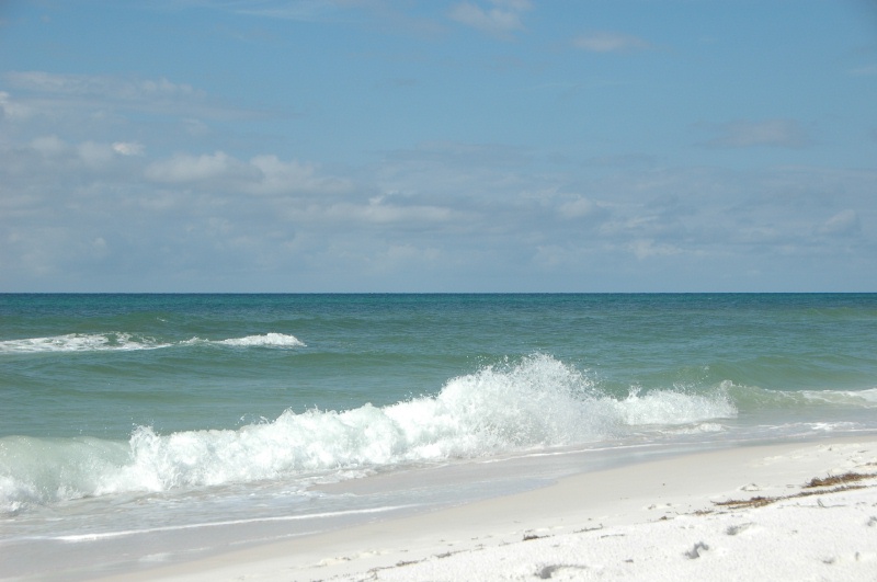DSC_8293.JPG