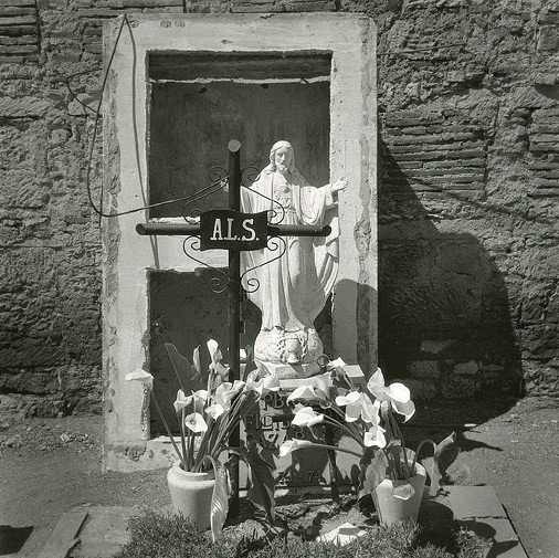 A.L.S. Oaxaca cemetery