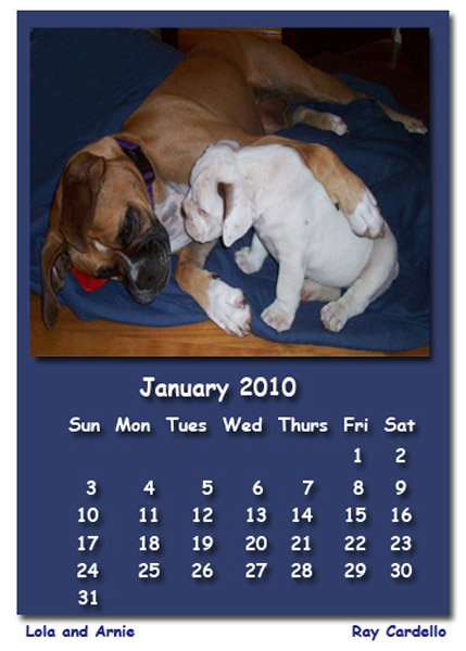 Lola & Arnie 2010 Calendar