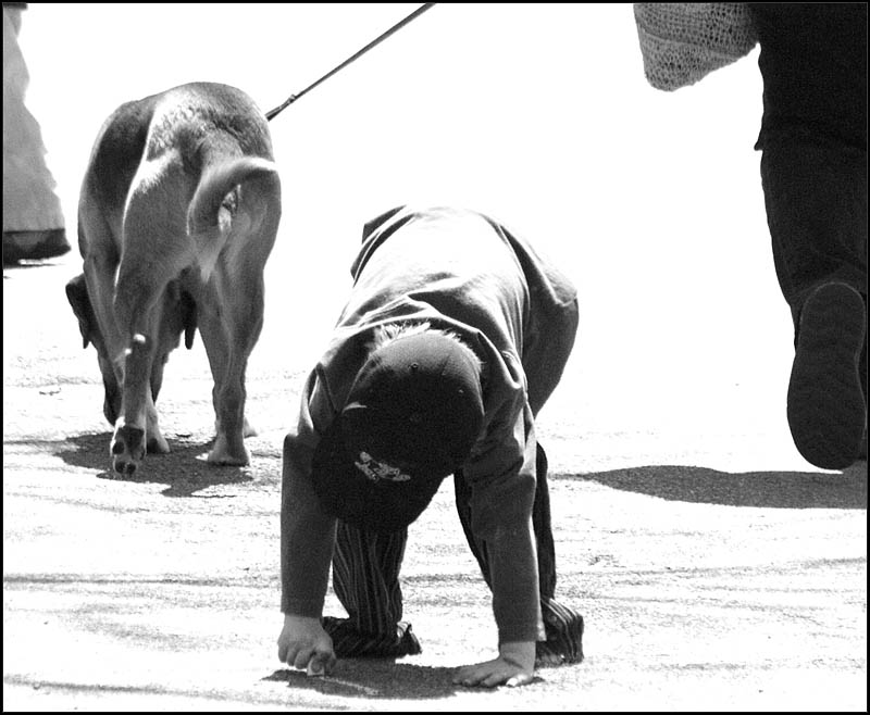 3rd place: On All Fours - brent