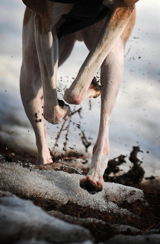 fancy footwork