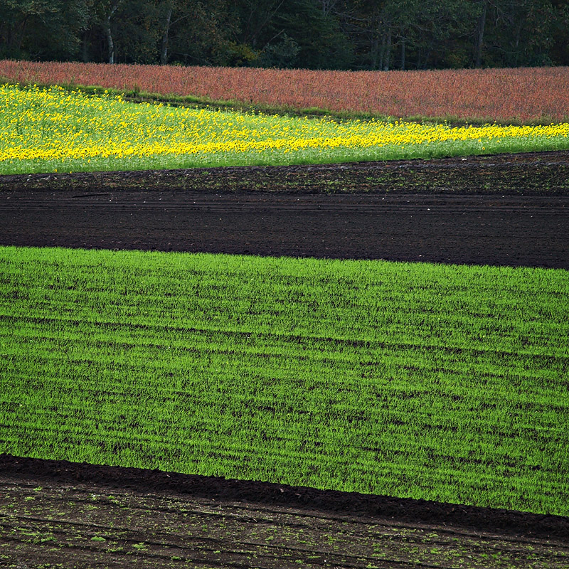 PA056899.jpg