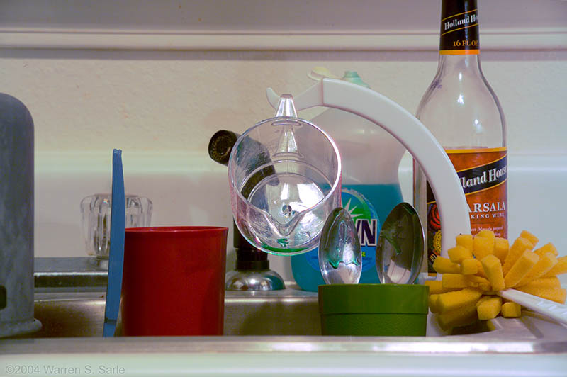 Yet Another Kitchen Sink Shot by Warren Sarle