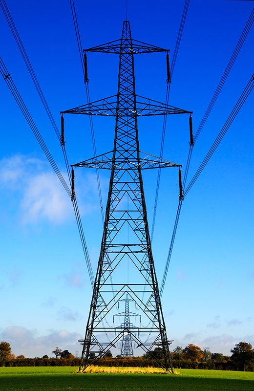 Electrical sentries by Quentin Bargate