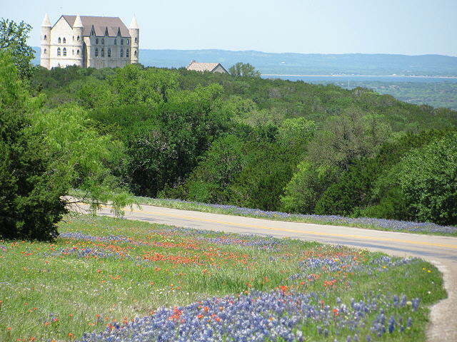 Texas wildflowers April 2010-57.jpg