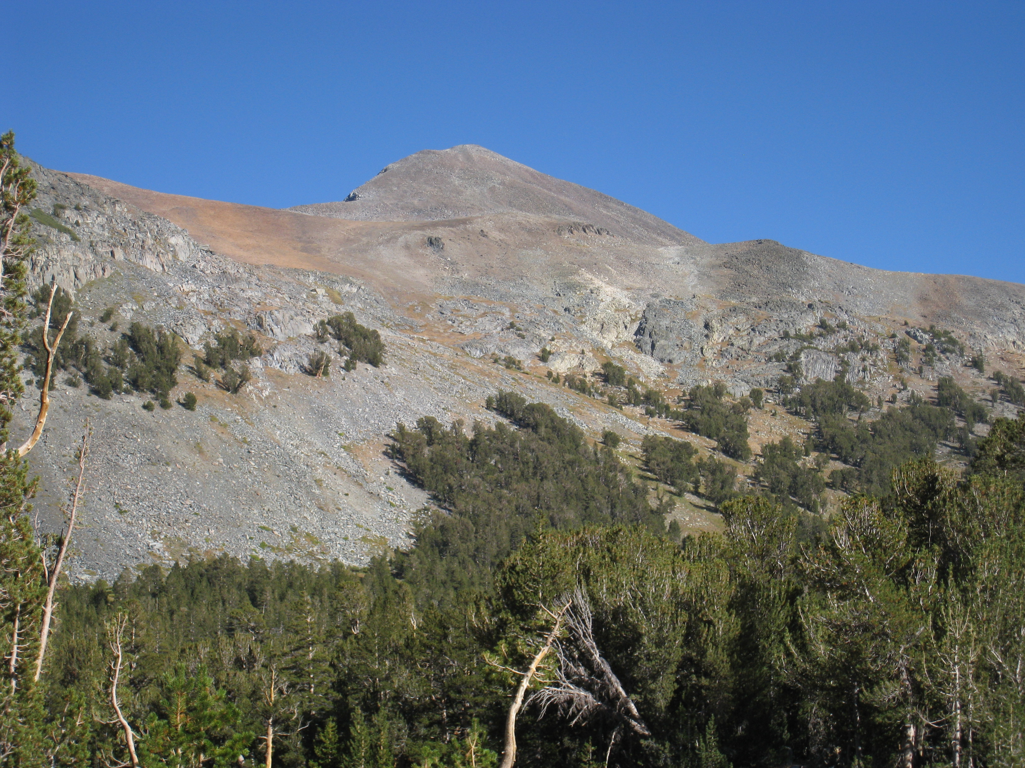 mt dana 13058 ft