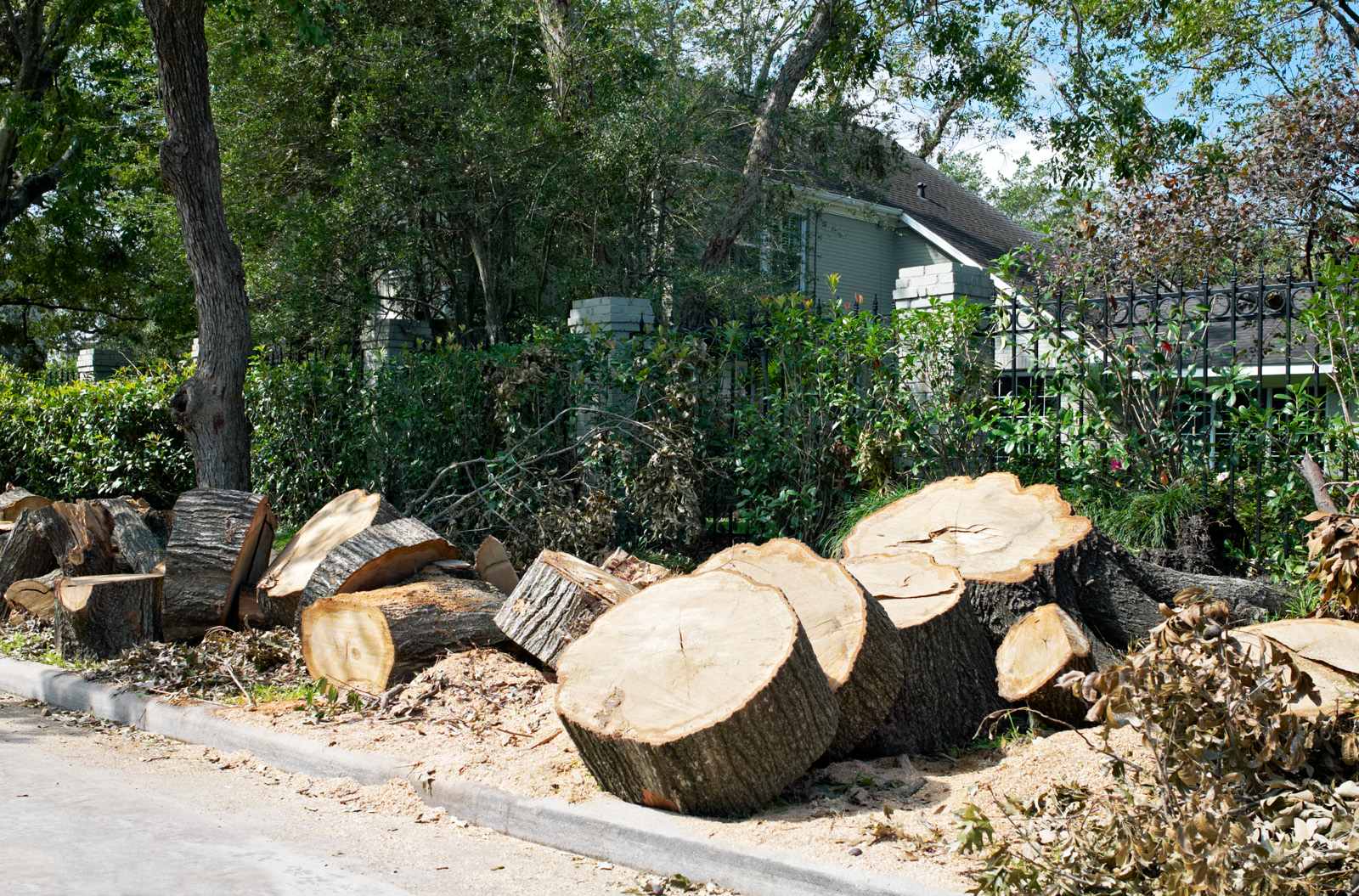 post Ike Mercer St N of Sunset 01