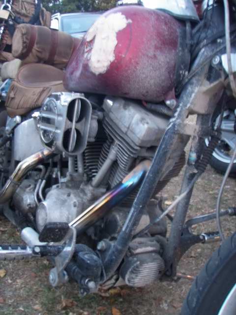 100320 GUSS D083.JPG