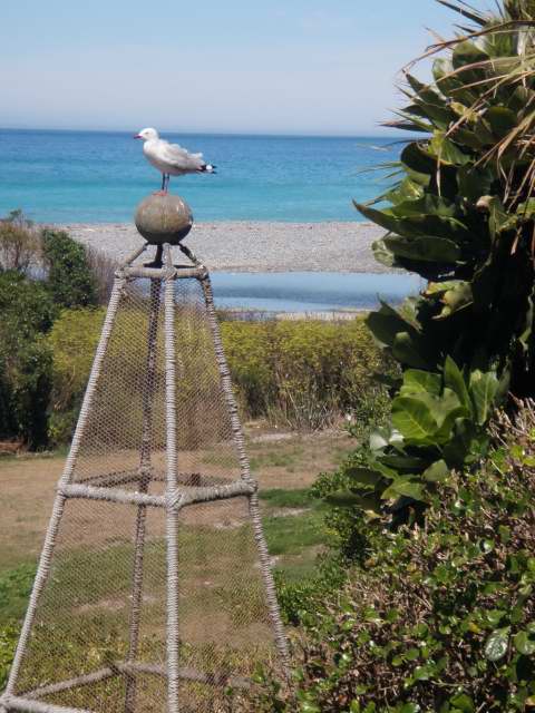 100228 Kekerengu with Marlborough 24.JPG