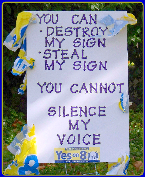 YOU CANNOT SILENCE MY VOICE