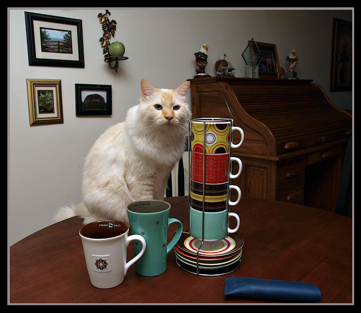 Milo Wants Some Tea.jpg