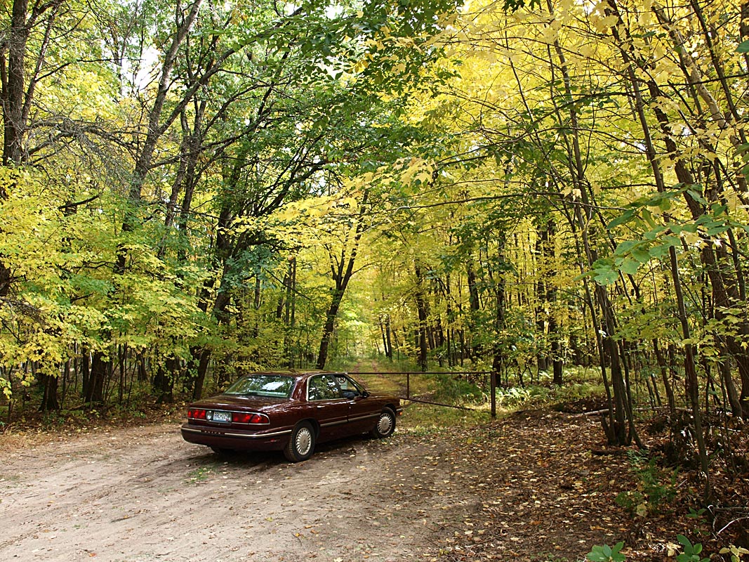 Fall at Carlos Avery-Buick.jpg