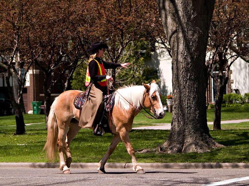 A-1 Directing Traffic for the Wagon Train.jpg