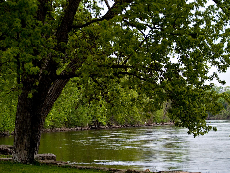 Spring on the Mississippi River.jpg