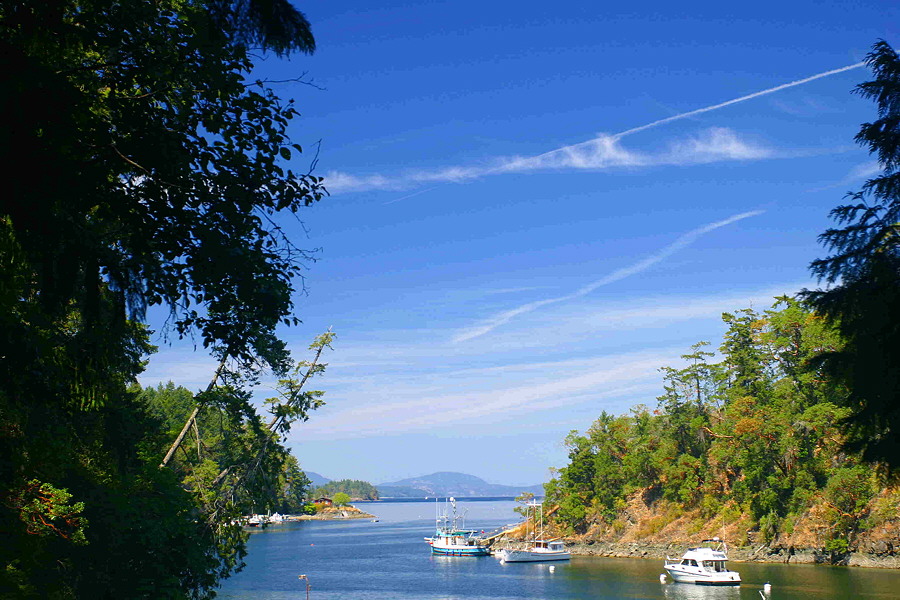 Inlet in the Orca Islands