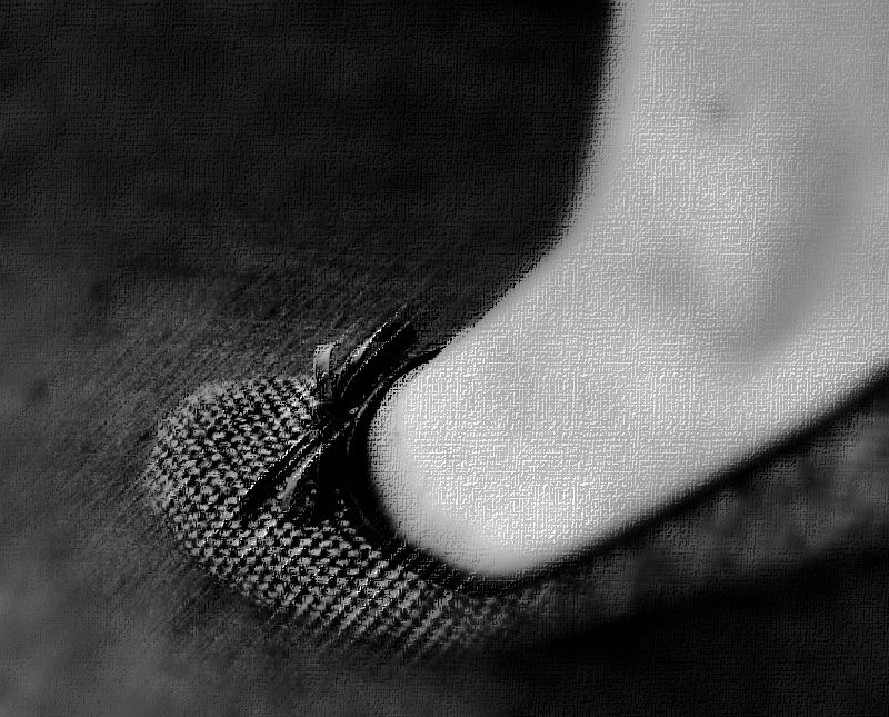 Le petit pied fminin de Pascale...