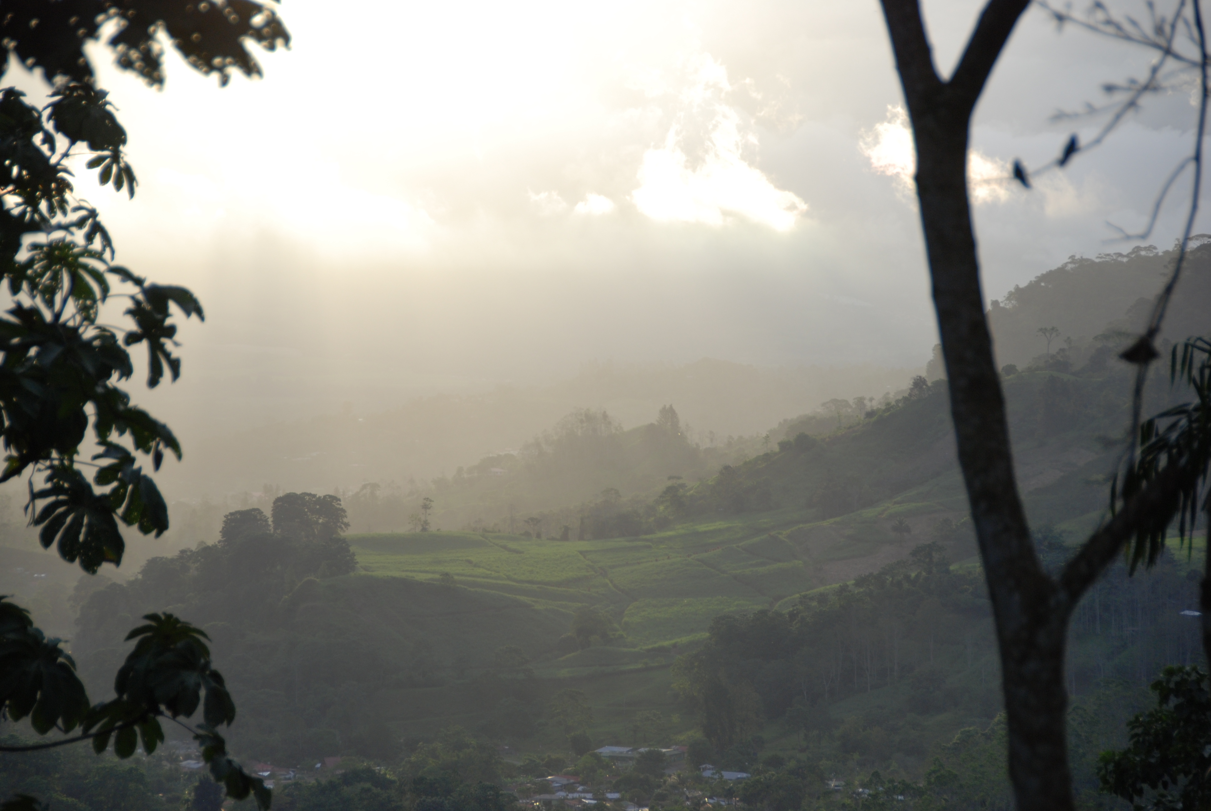 View from  Balcony at Rancho.JPG