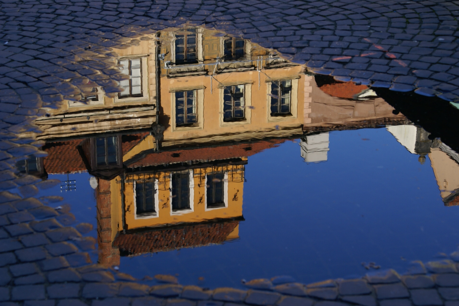 Polish puddle