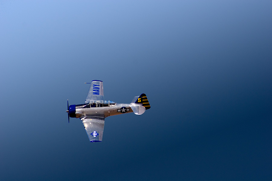 _MG_5689.jpg