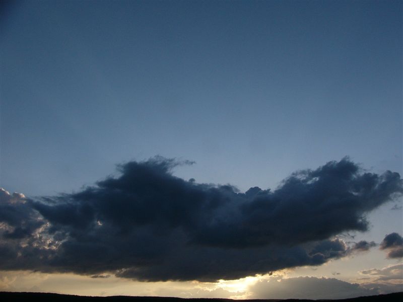 P1140319.JPG