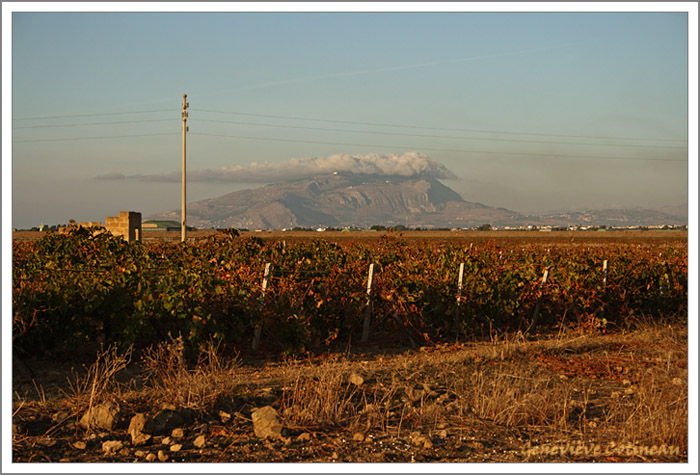 Erice