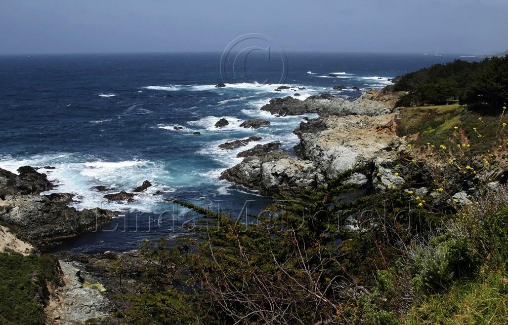 Big Sur_0020L.jpg
