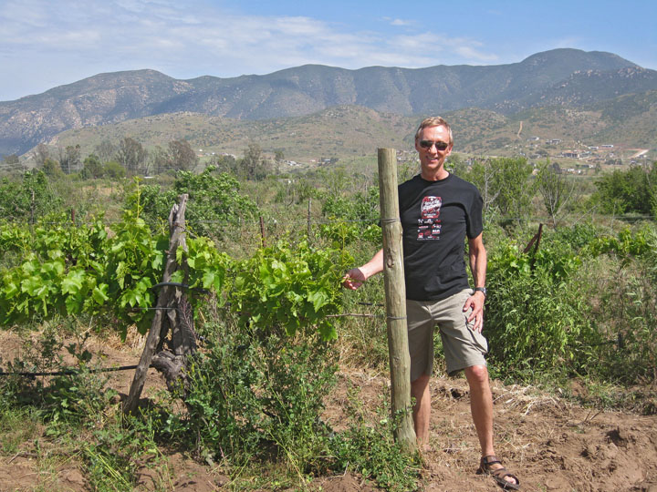 Dave verifies its no vineyard, its that rare grapeleaf cannabis your mother warned you about