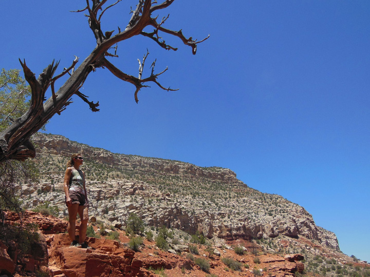 Donna surveys the landscape