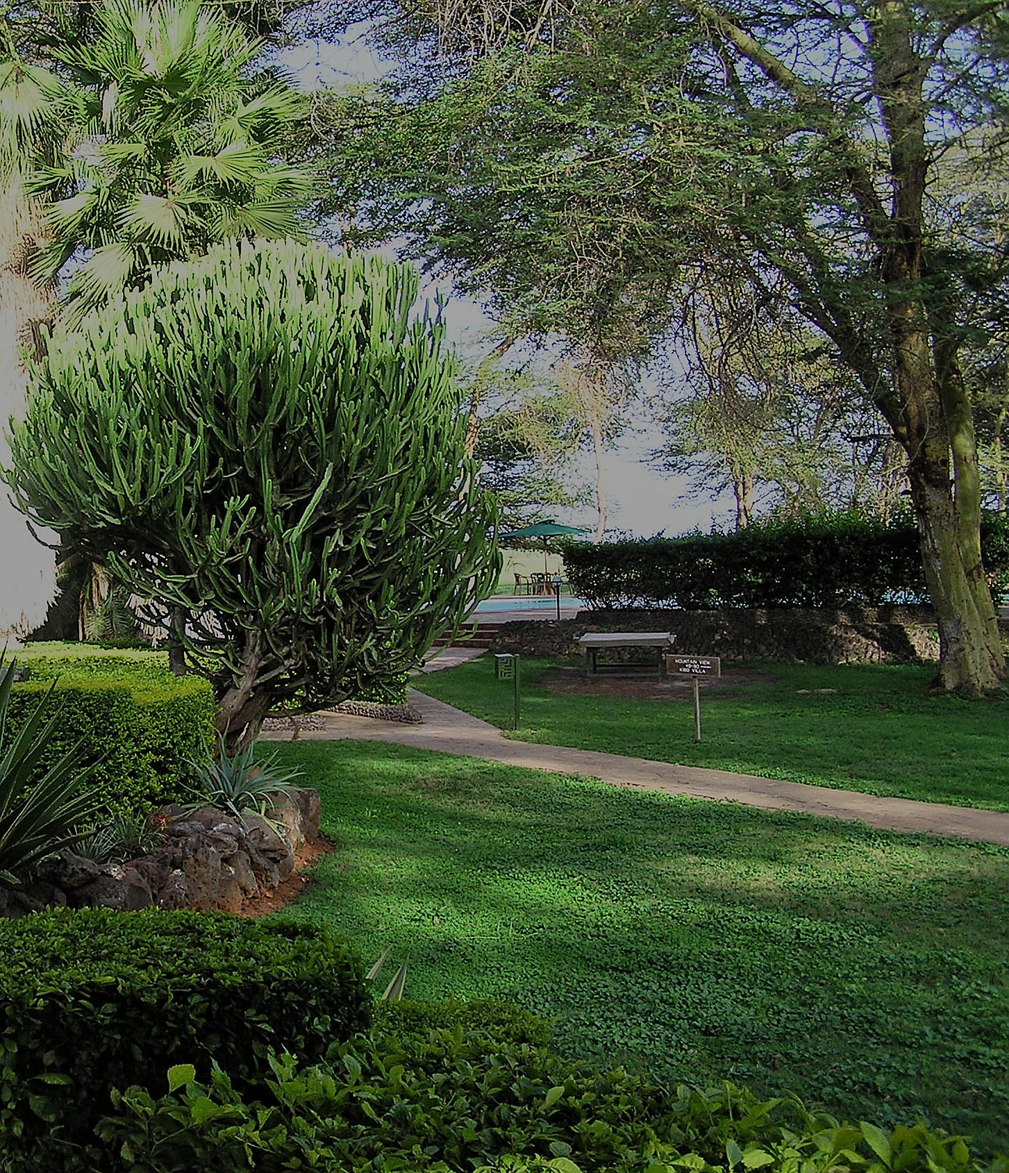 Oltukai Lodge Grounds