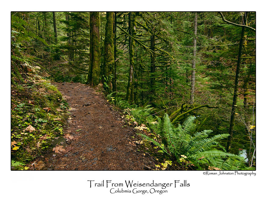 Trail From Weisendanger Falls.jpg