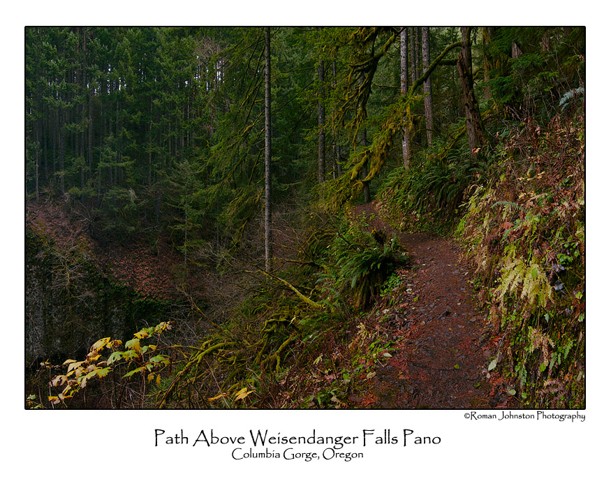 Path Above Weisendanger Falls Pano.jpg