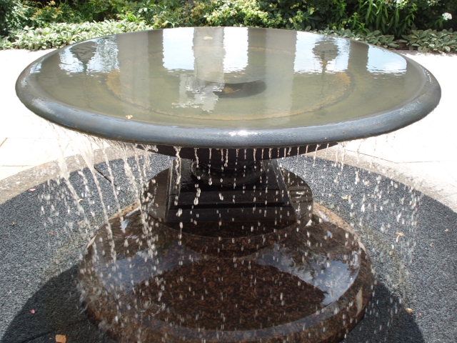 CIMG0455.JPG