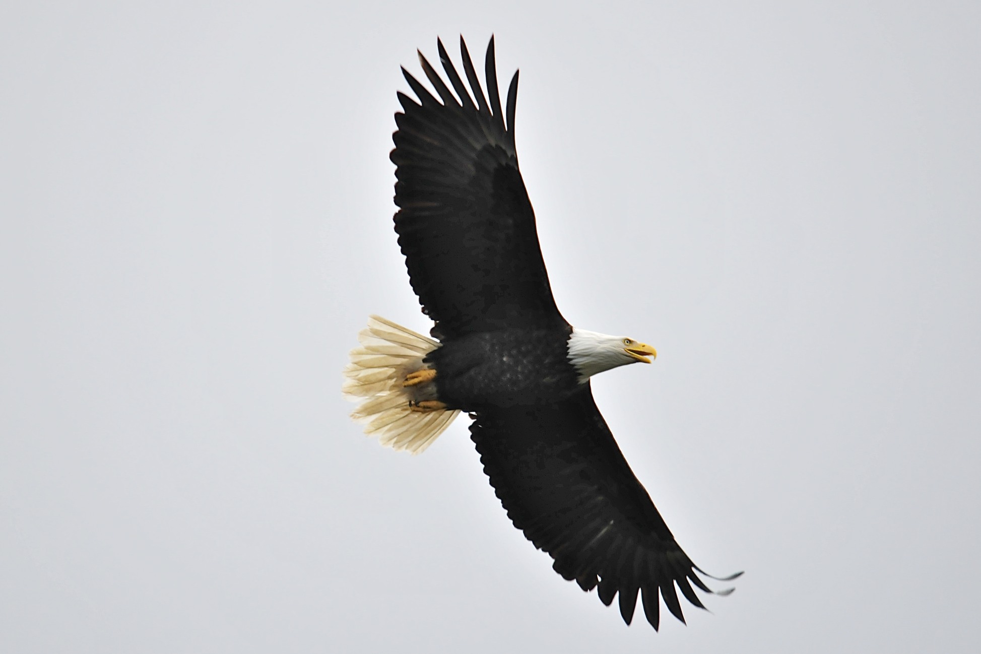 DSC_9377.jpg