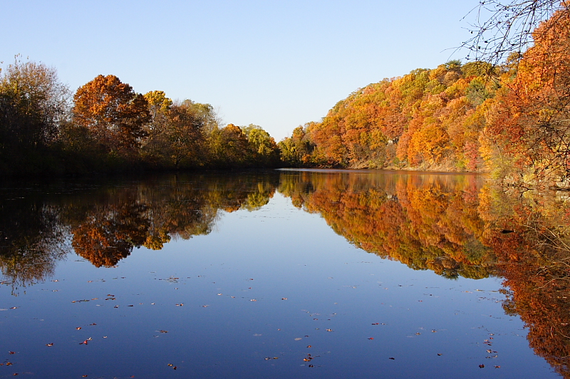 This is why I love the Fall!