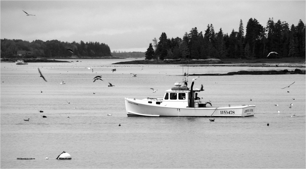 Lobster Fishing