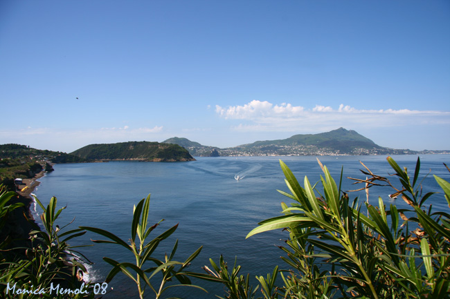 Vivara e Ischia da punta Serra