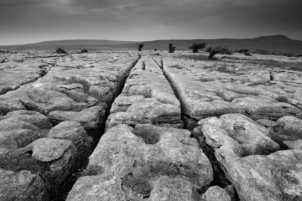 At The foot of Ingleborough  11_DSC_2605