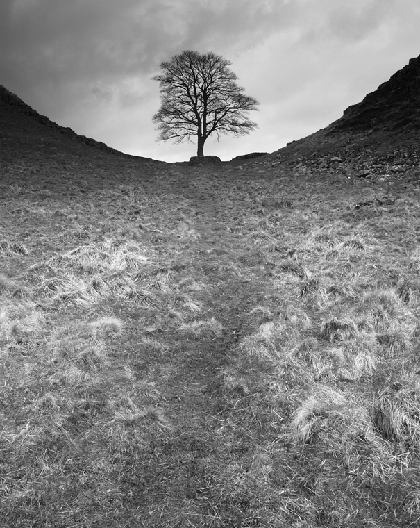 Hadrians Wall Walk DSC_6245