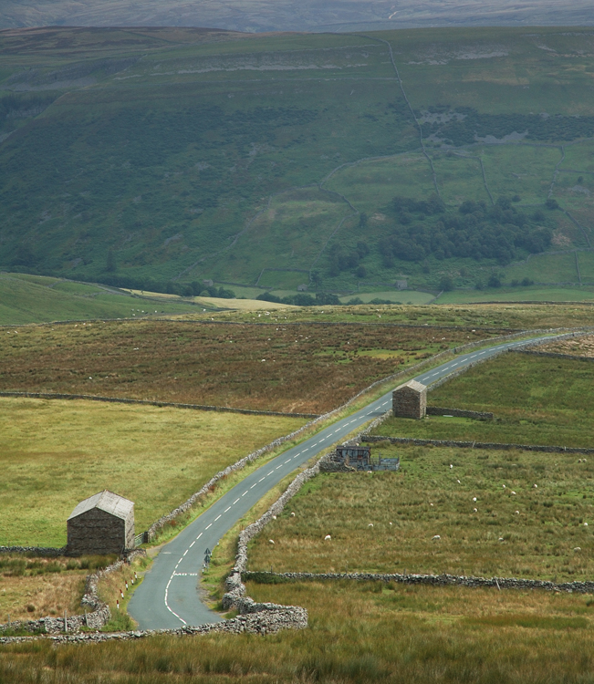 Swaledale from above Thwaites  DSC_1443