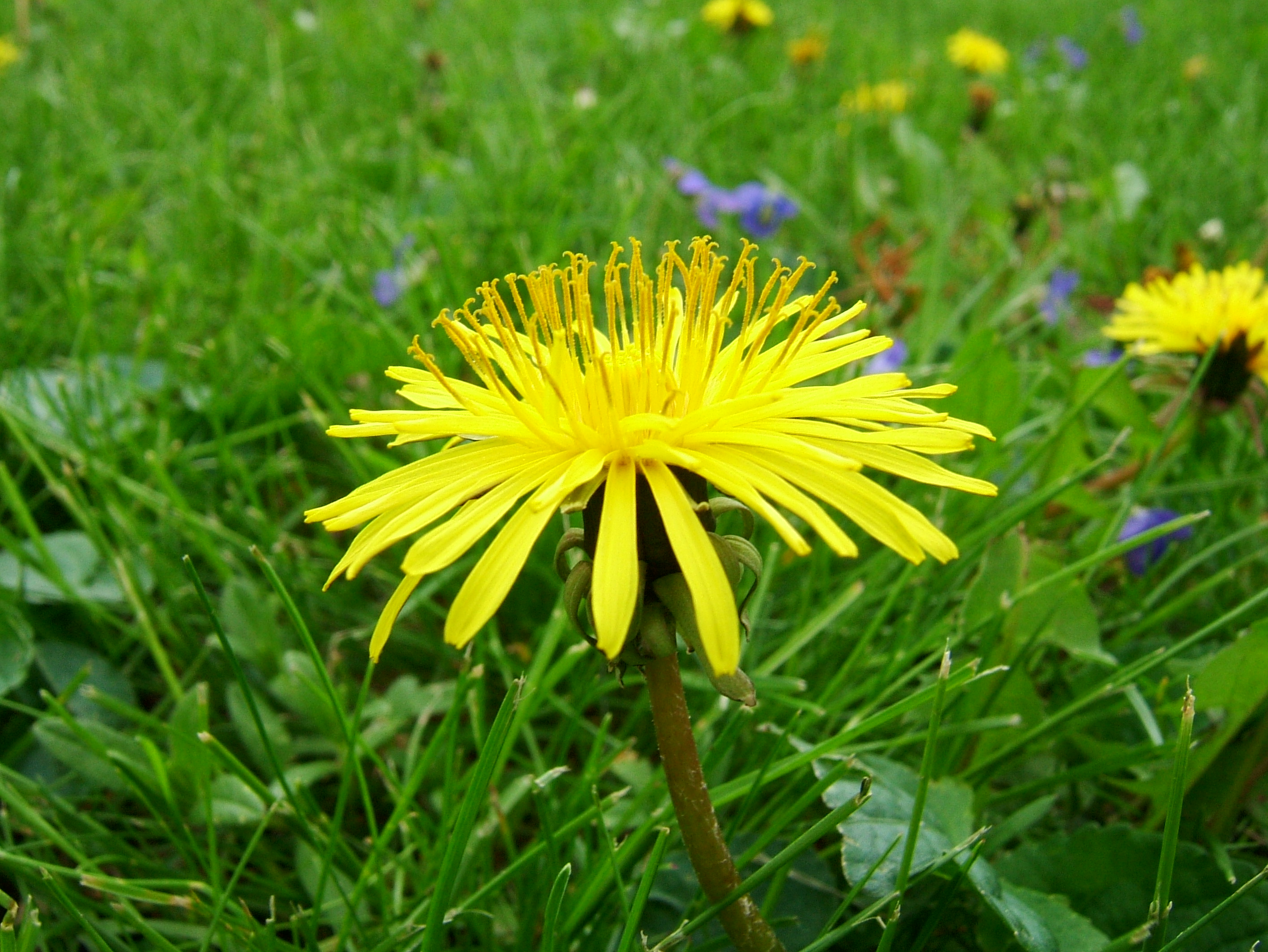 dscf7764.jpg