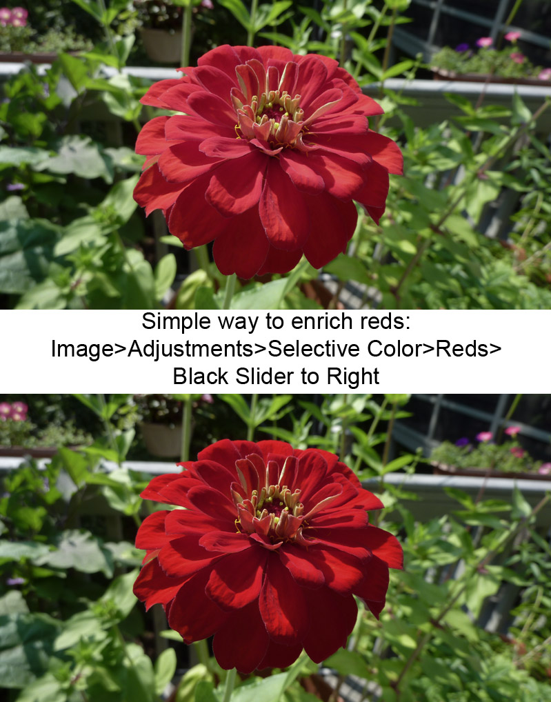 Simple Way to Improve Reds