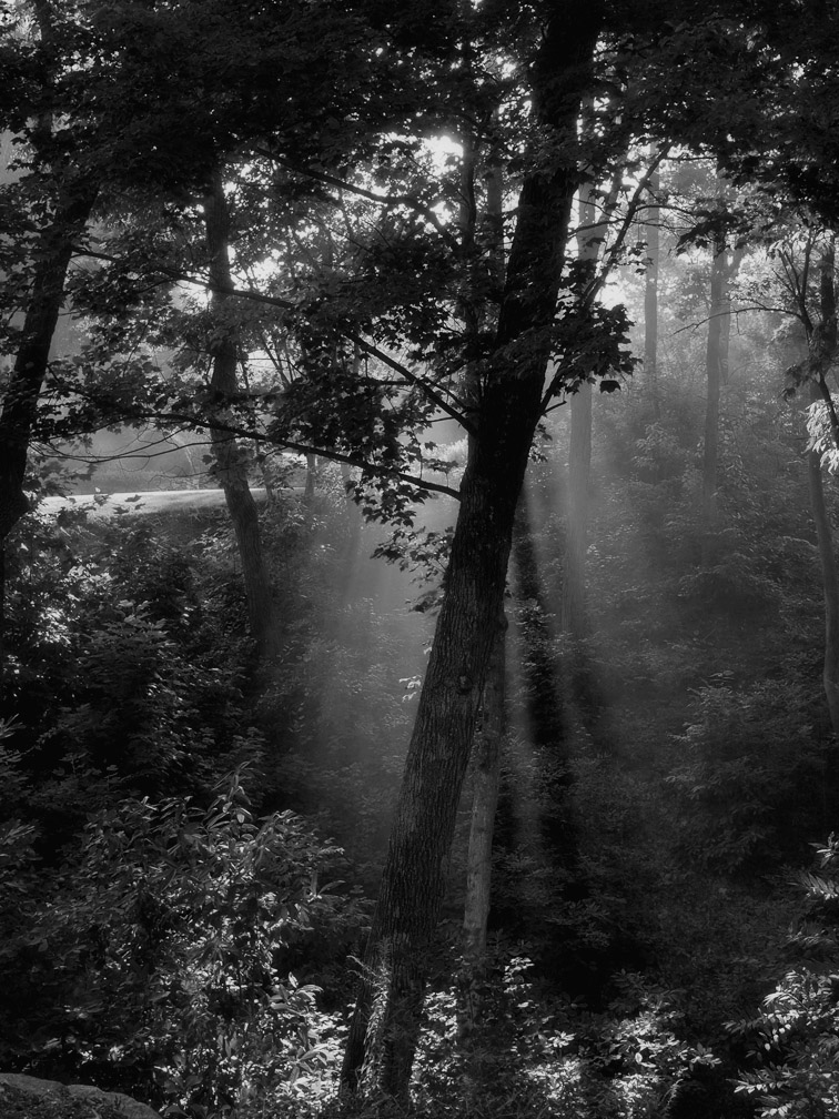 P8264410 Morning Haze