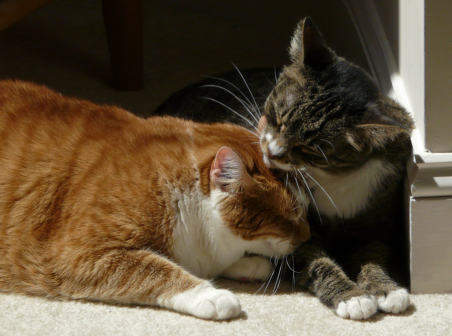 P1000896 Fleeting sweet moment