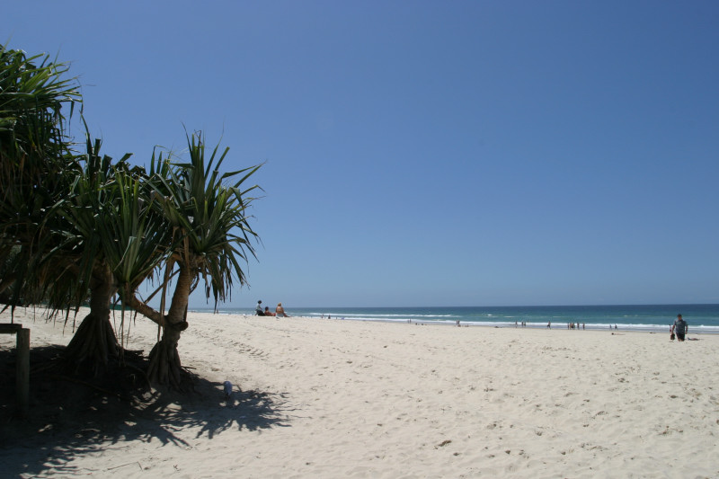 Surfers Paradise24.jpg