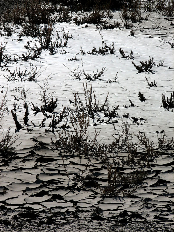 Mud Study #2