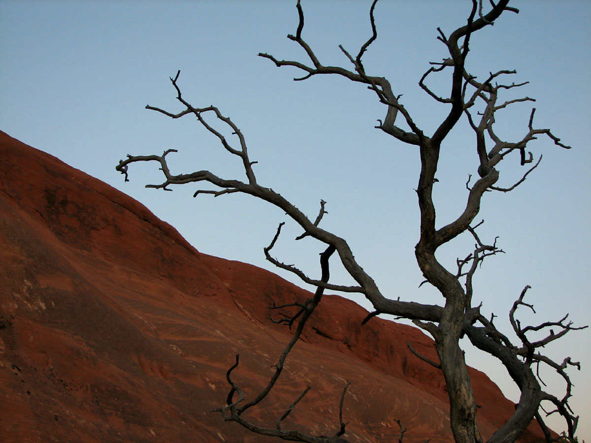 Arterial
