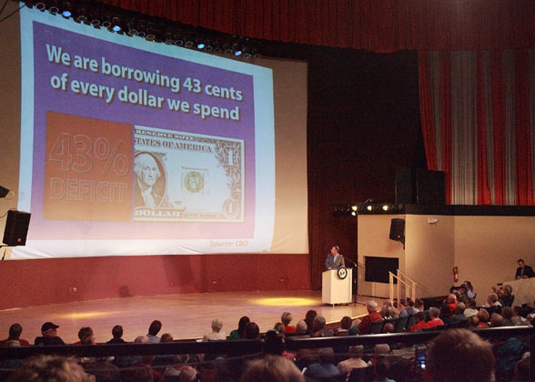 44% Borrowed