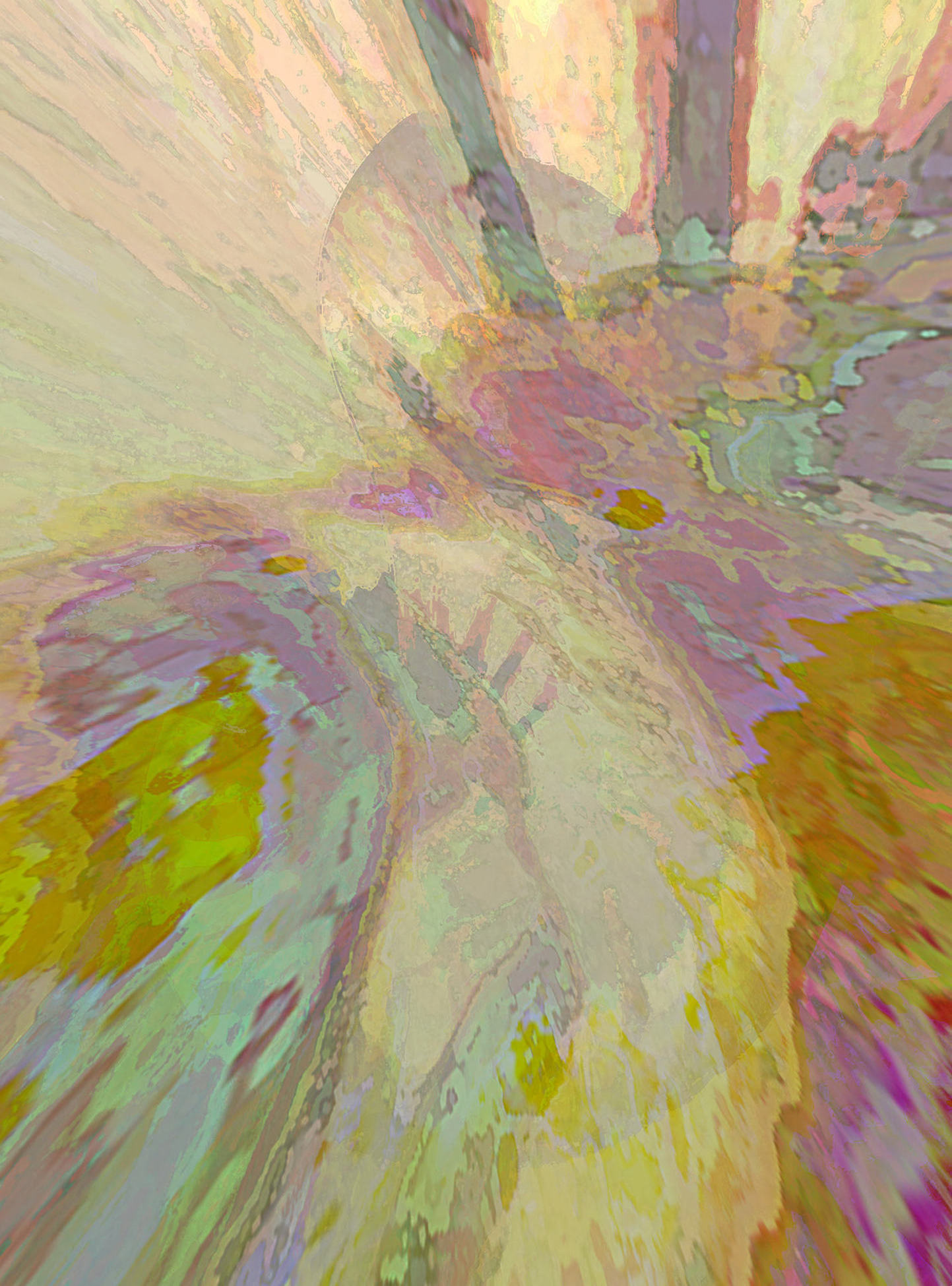 Nautilus shell abstract