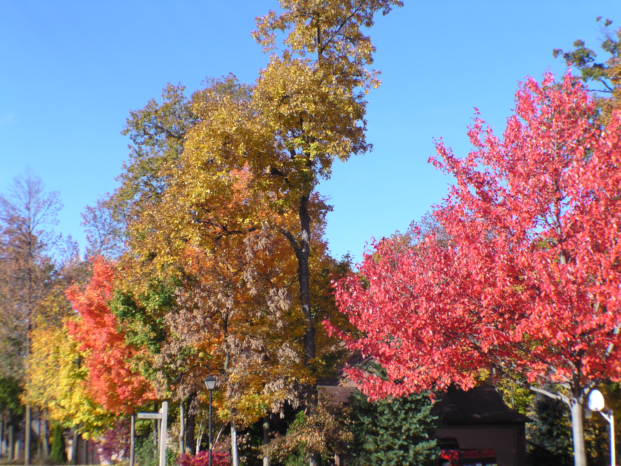 PA160117.JPG